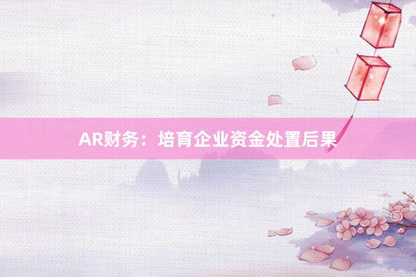 AR财务：培育企业资金处置后果