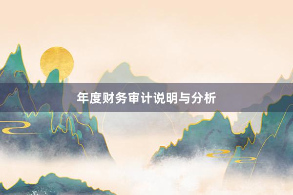 年度财务审计说明与分析